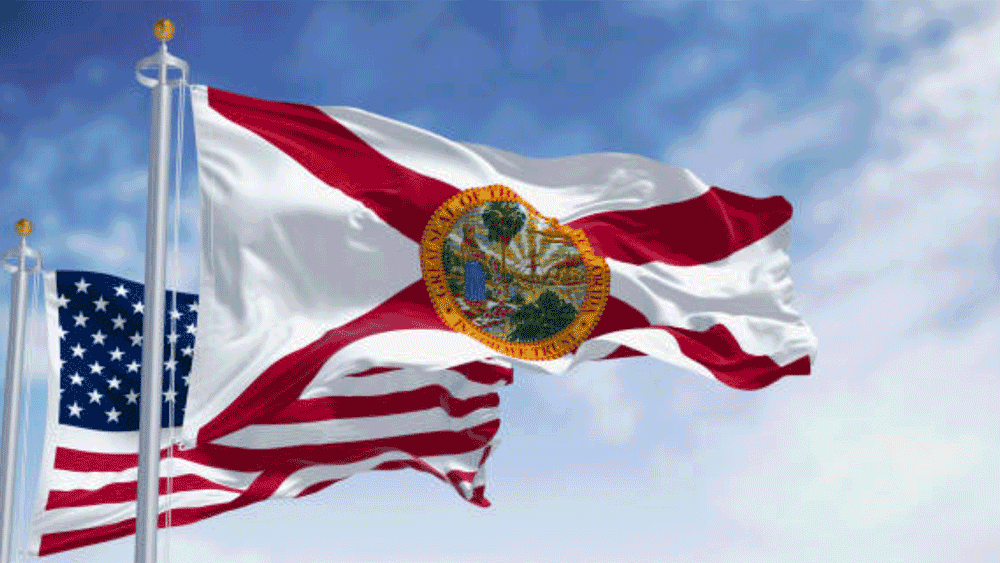 flag-us-florida The Gathering of Patriots PAC